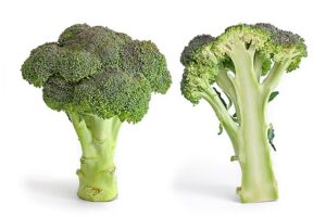 Broccoli is rich in antioxidants